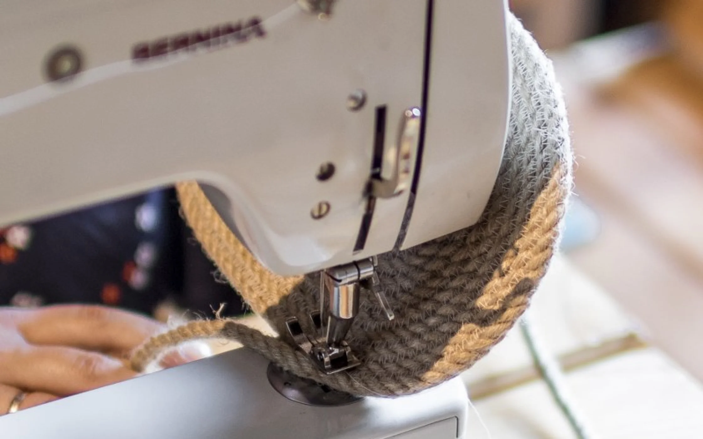 Bild2_BrotkrbchenSBO foto_ahuber Detail 2 - Kopie_800x533.jpg